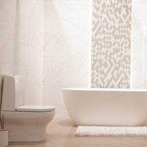 modern bathroom interior with decorative elements space text